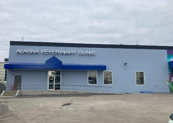 best rabbit vet near me alaska