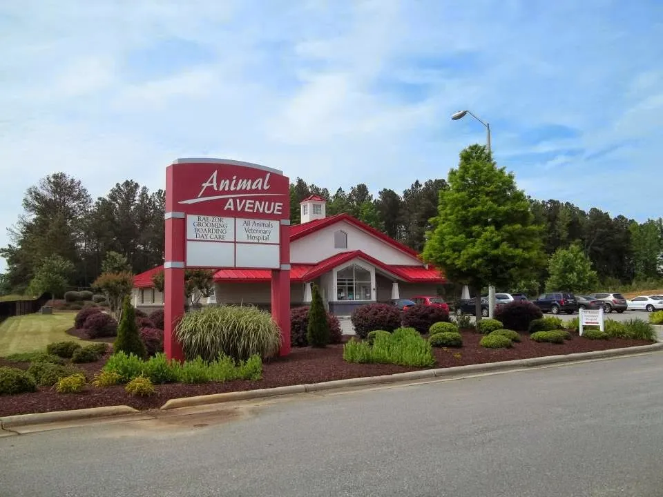 rabbit vet near me north carolina