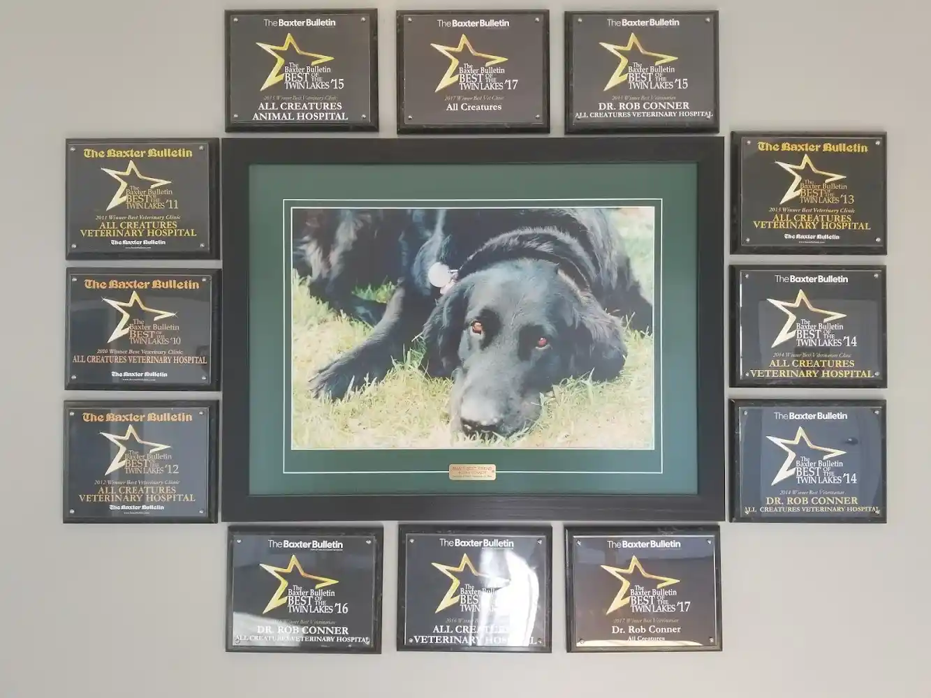 All Creatures Lakeside Veterinary Hospital