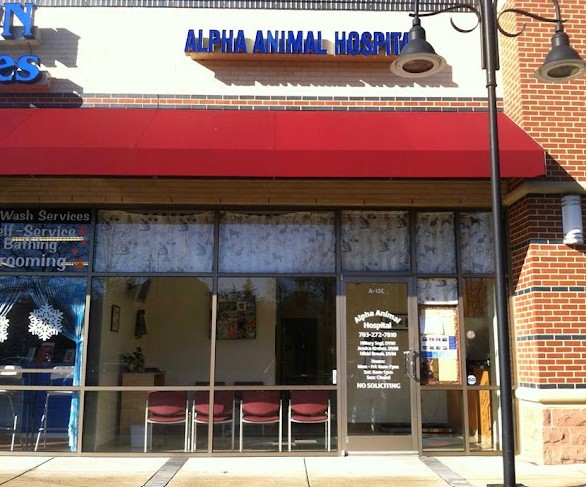 rabbit vet near me virginia