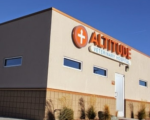 best rabbit vet near me wyoming