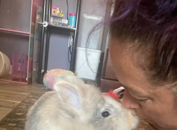 rabbit vet near me virginia