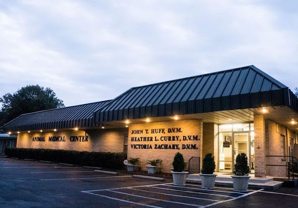 best rabbit vet near me arkansas