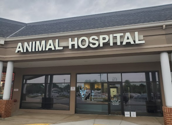 rabbit vet near me virginia