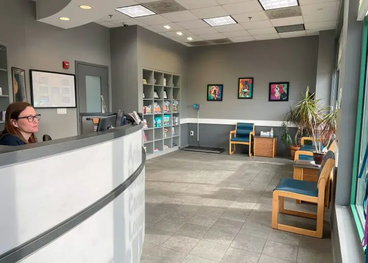 best rabbit vet near me virginia