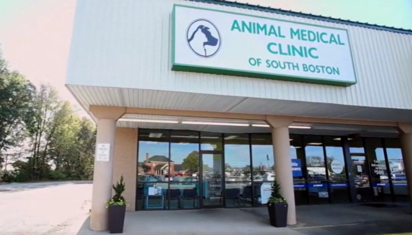 rabbit vet near me virginia