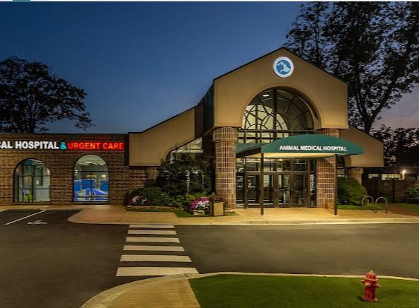 rabbit vet near me north carolina