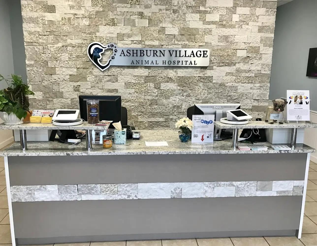 rabbit vet near me virginia