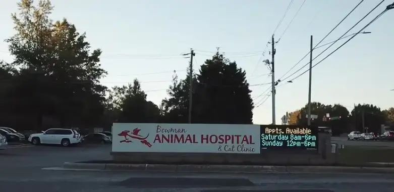 rabbit savvy vet near me