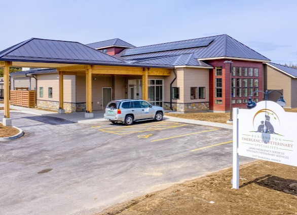 rabbit vets near me vermont