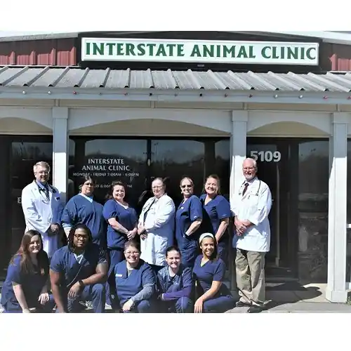 best rabbit vet near me arkansas
