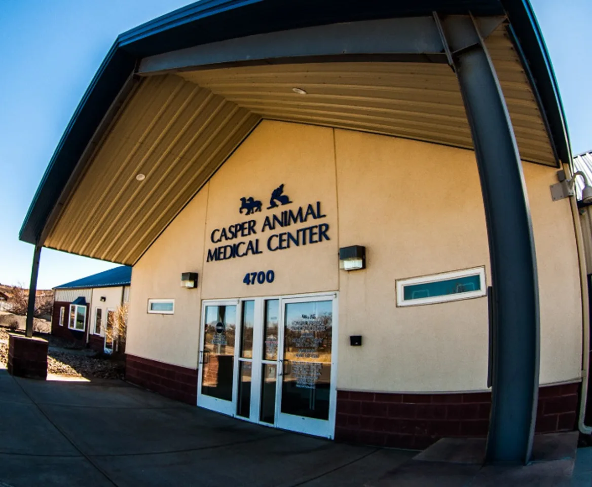 best rabbit vet near me wyoming