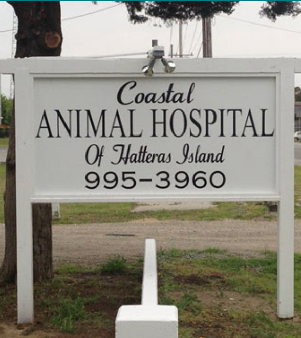 Coastal Animal Hospital of Hatteras Island