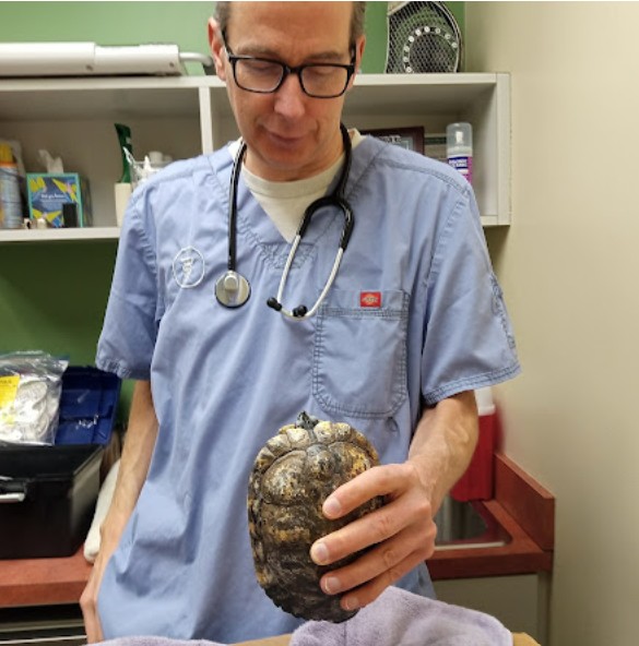 best rabbit vet near me alaska
