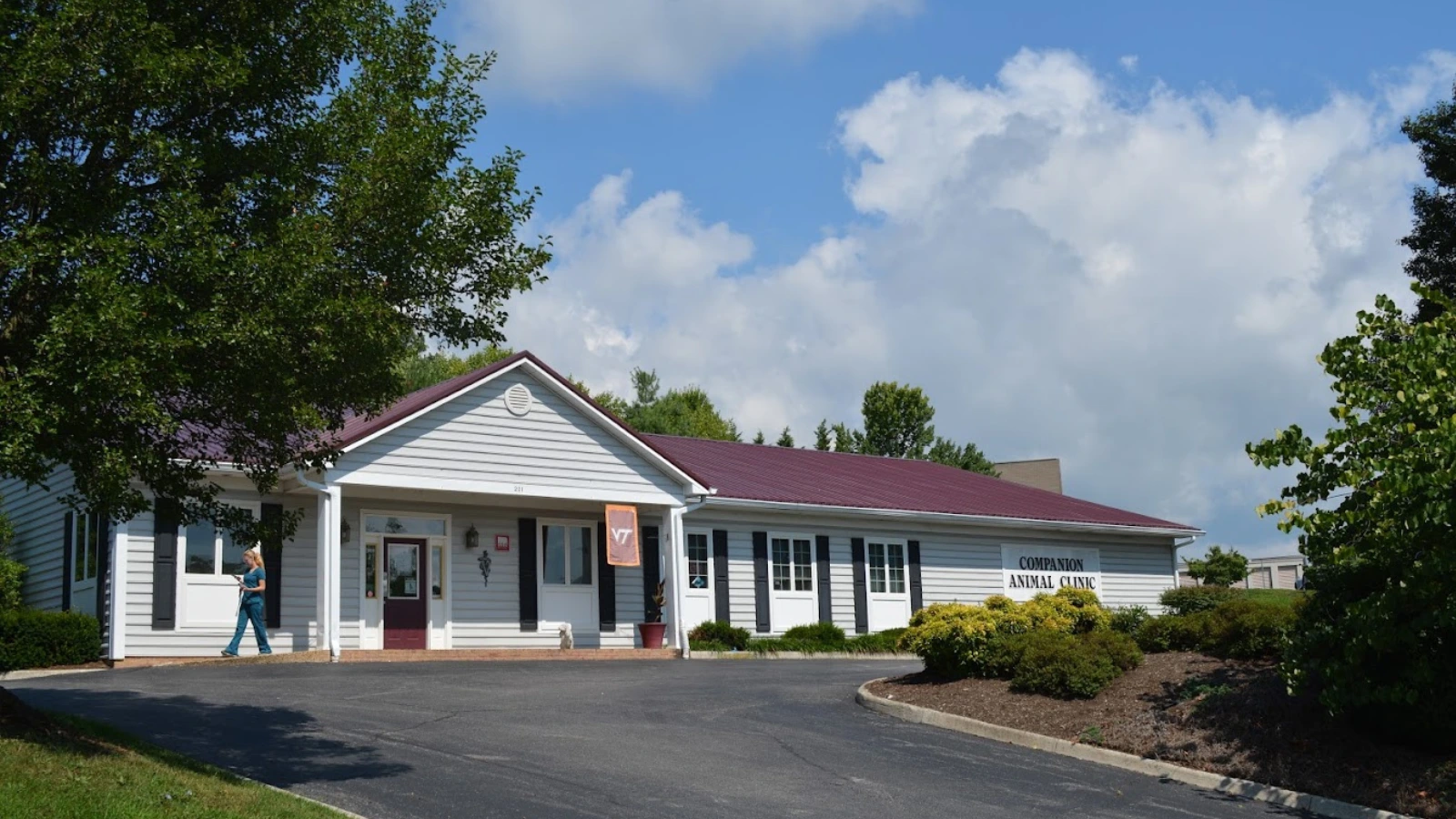 rabbit vet near me virginia