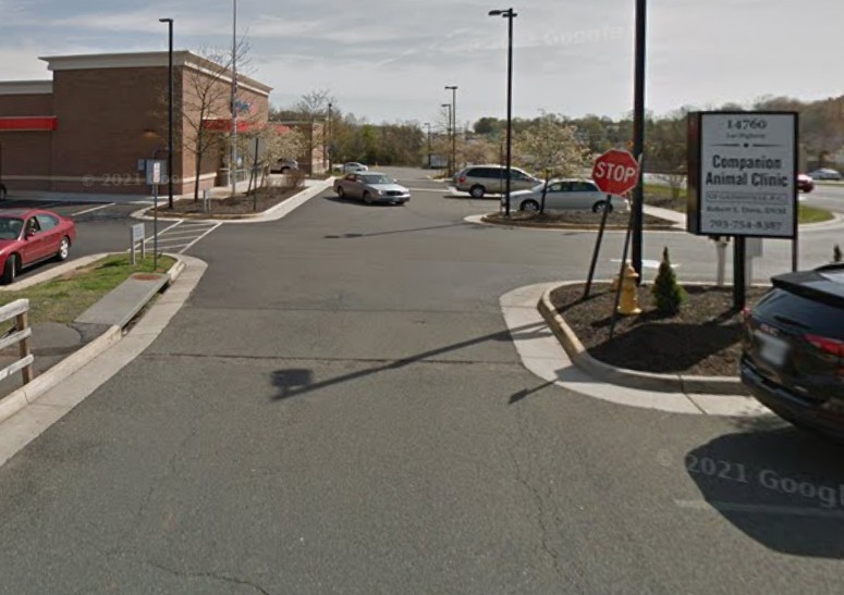 rabbit vet near me virginia