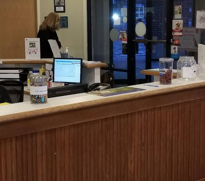 rabbit vet near me virginia