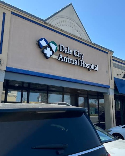 rabbit vet near me virginia