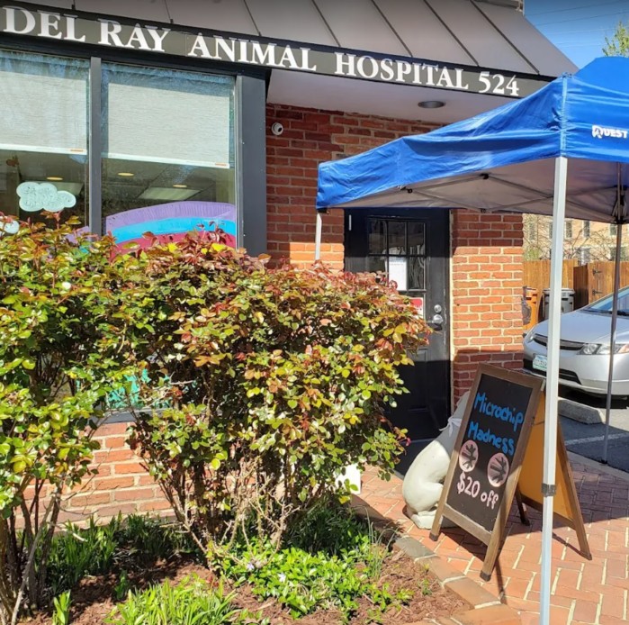 rabbit vet near me virginia