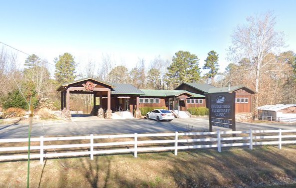 best rabbit vet near me arkansas