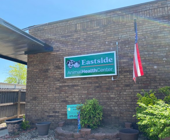 rabbit vets near me arkansas