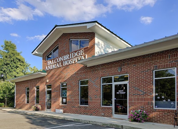 rabbit vet near me north carolina