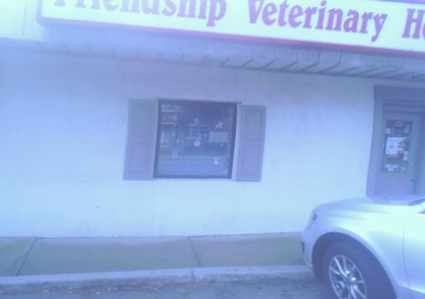 best rabbit vet near me virginia