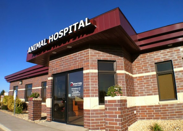 best rabbit vets in north dakota