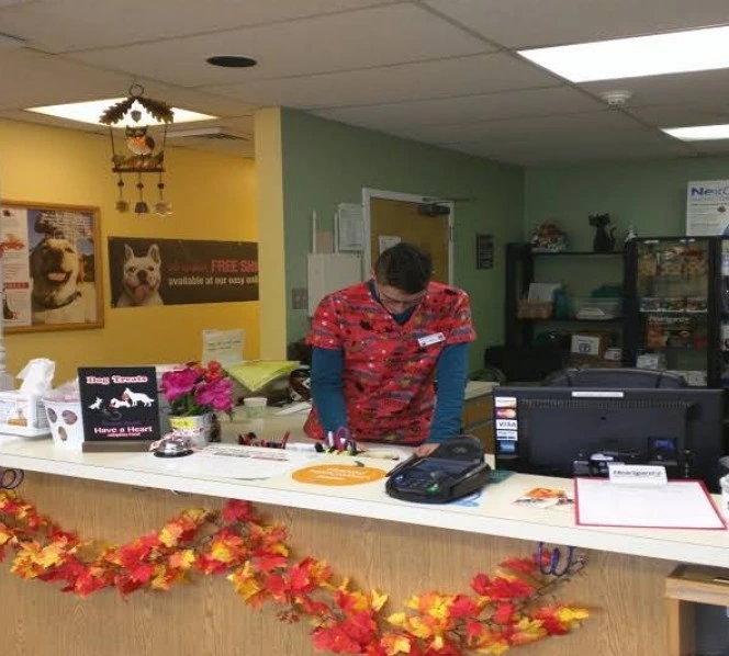 rabbit vet near me virginia