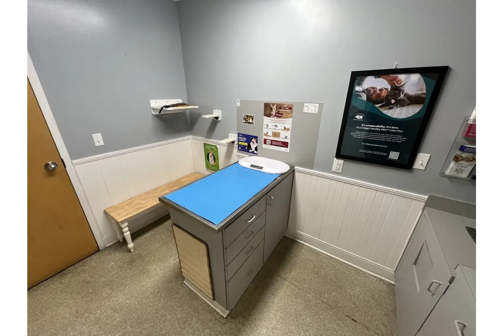 vets that take rabbits near me