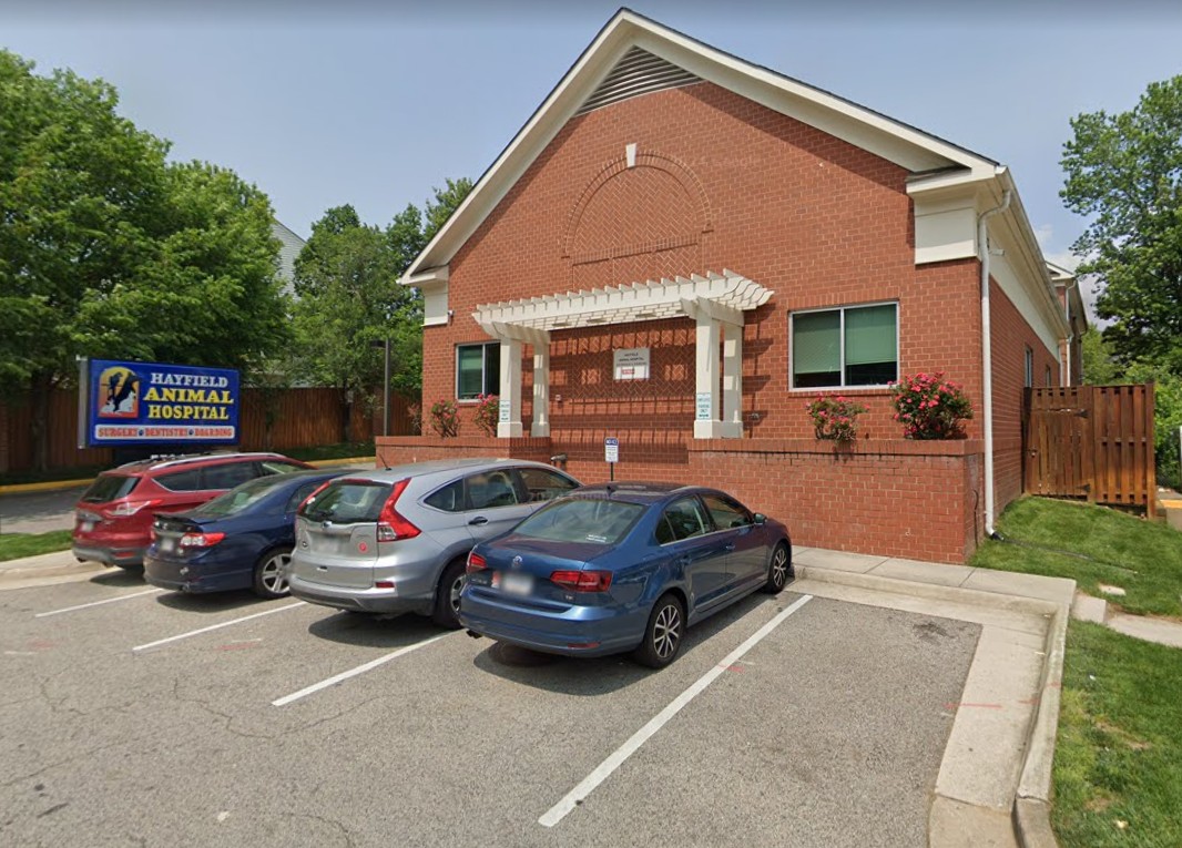 rabbit vet near me virginia