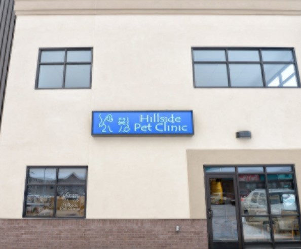 best rabbit vet near me alaska