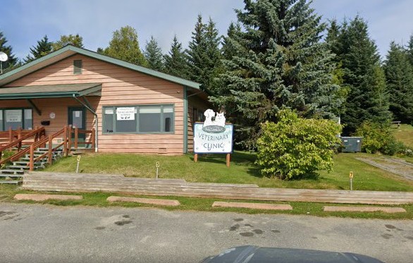 best rabbit vet near me alaska