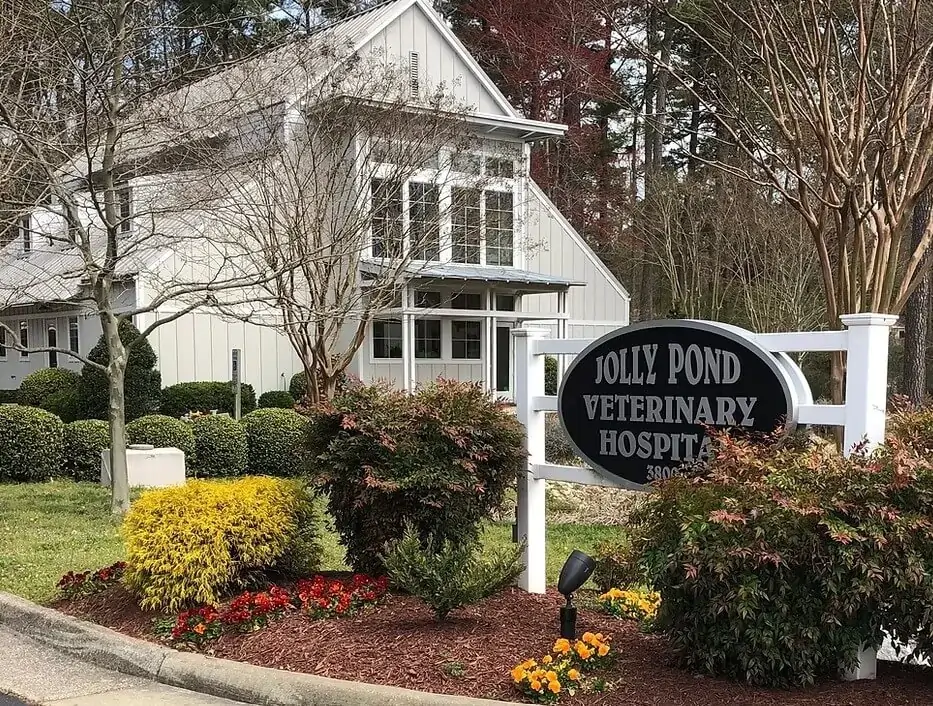 rabbit vet near me virginia