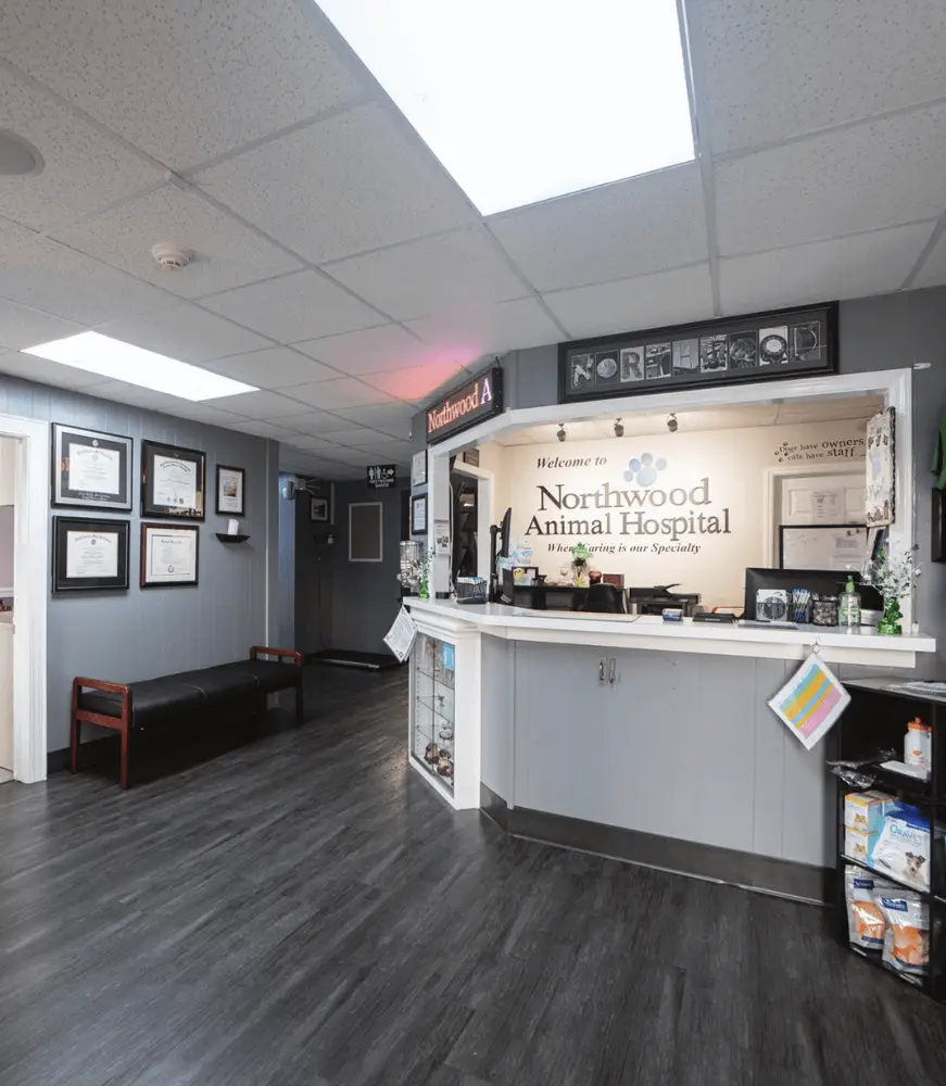 best local rabbit vets near me