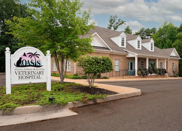 rabbit vet near me virginia