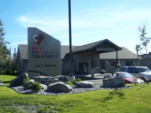 best rabbit vet alaska