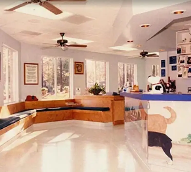 best vets for fixing rabbits near me