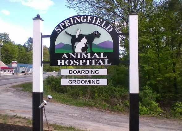 best rabbit vet near me vermont