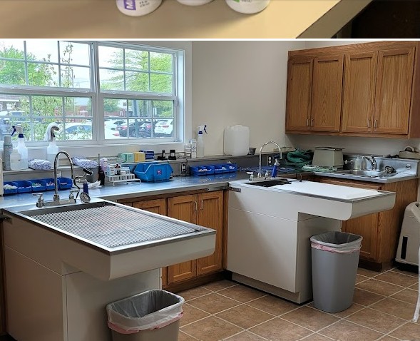 rababit vets near me arkansas