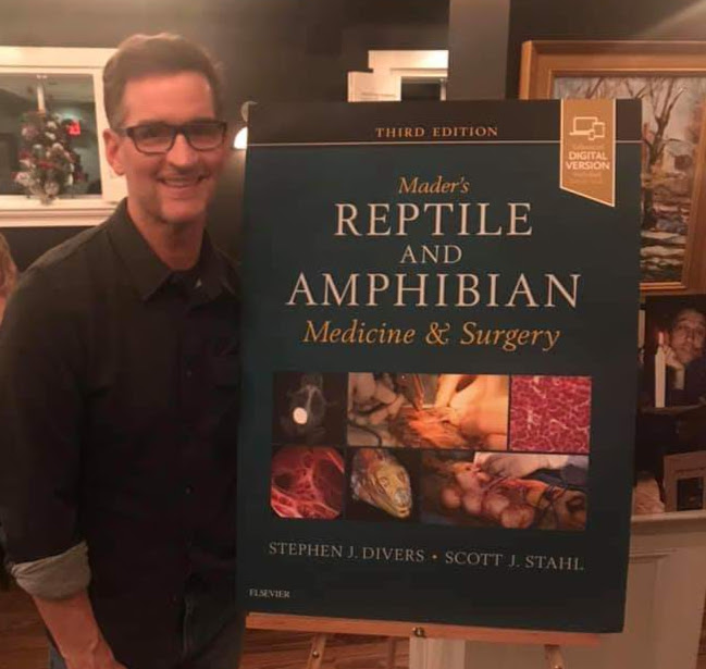 rabbit vet near me virginia