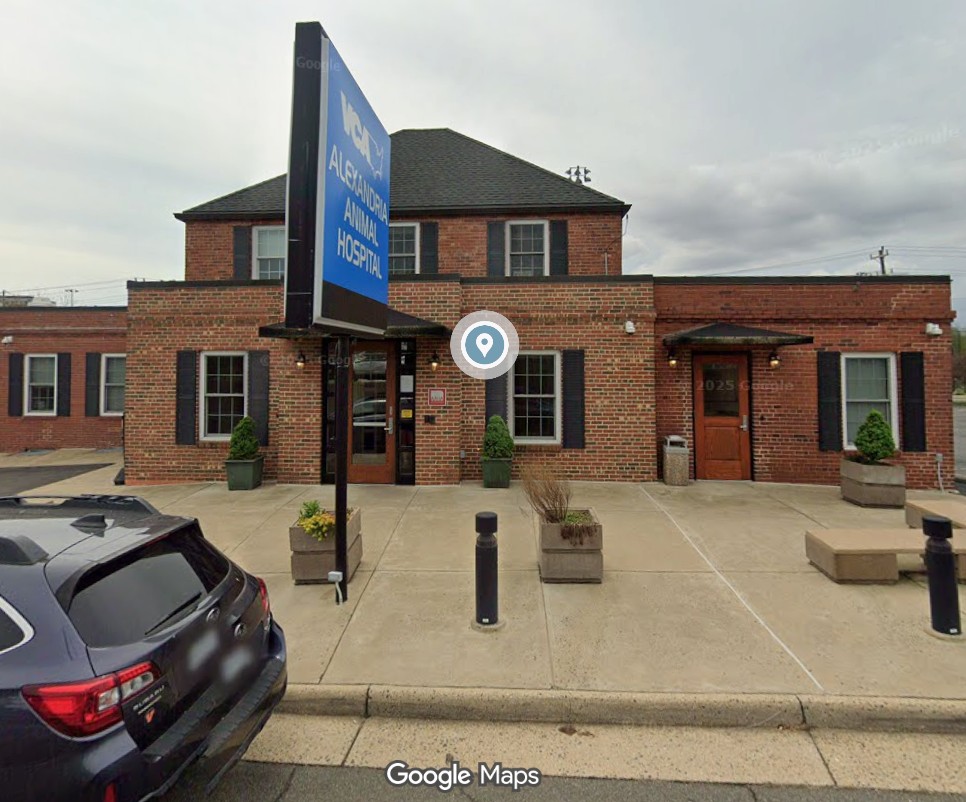 rabbit vet near me virginia