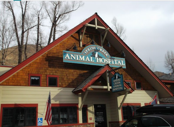 best rabbit vet near me wyoming