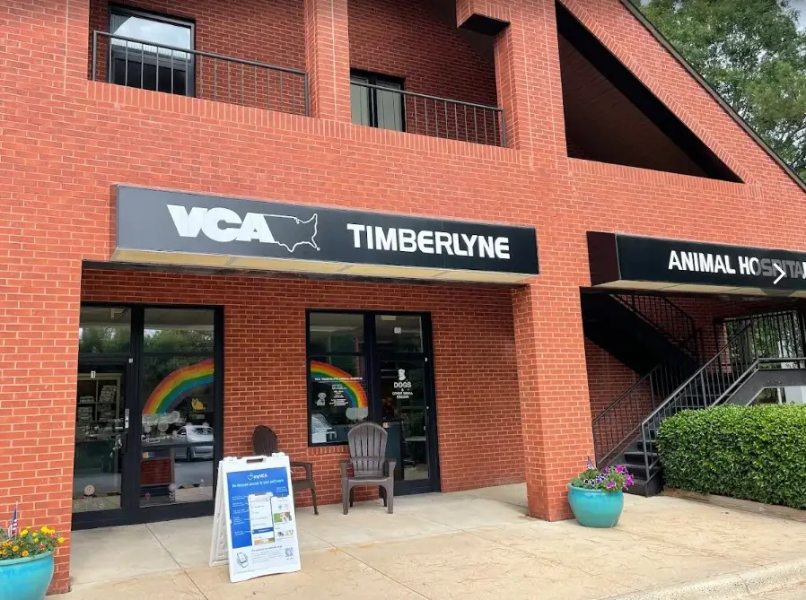 best vets for rabbits near me