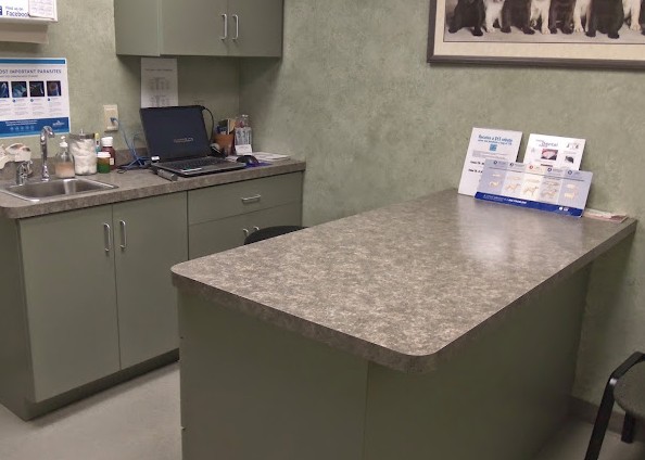 best rabbit vet near me north dakota