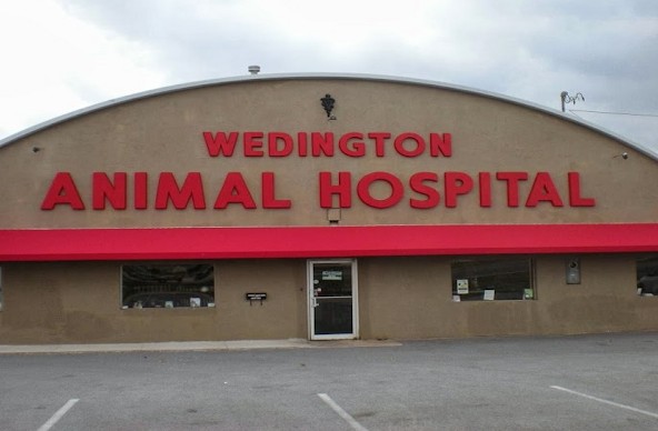 rabbit vet near me arkansas