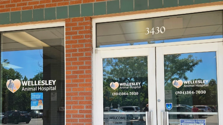 rabbit vet near me virginia