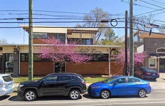 rabbit vet near me north carolina