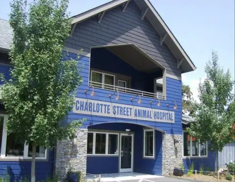 rabbit vets near me north carolina