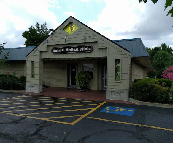 rabbit vet near me arkansas